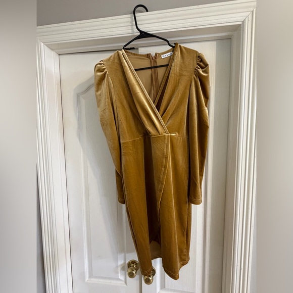NWT Elegant Velvet Dress in Gold Velvet - Picture 6 of 8